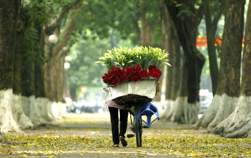 Ảnh mùa thu Hà Nội 9