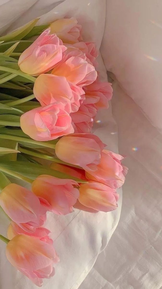 Hình nền hoa Tulip cho điện thoại đẹp nhất 10