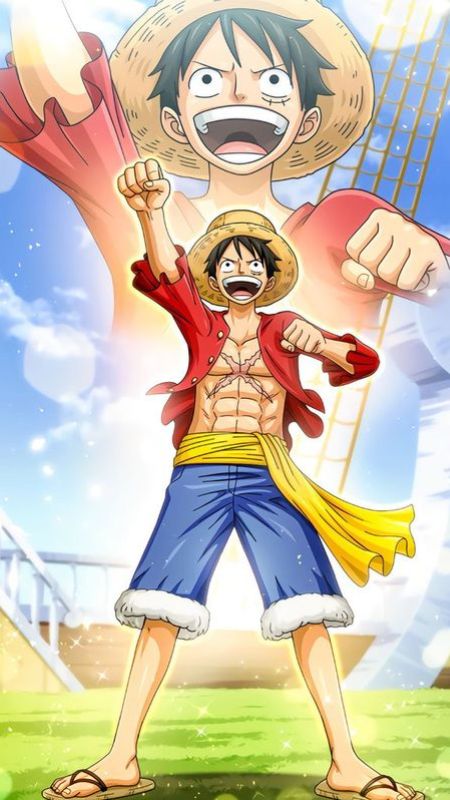 ảnh luffy 17